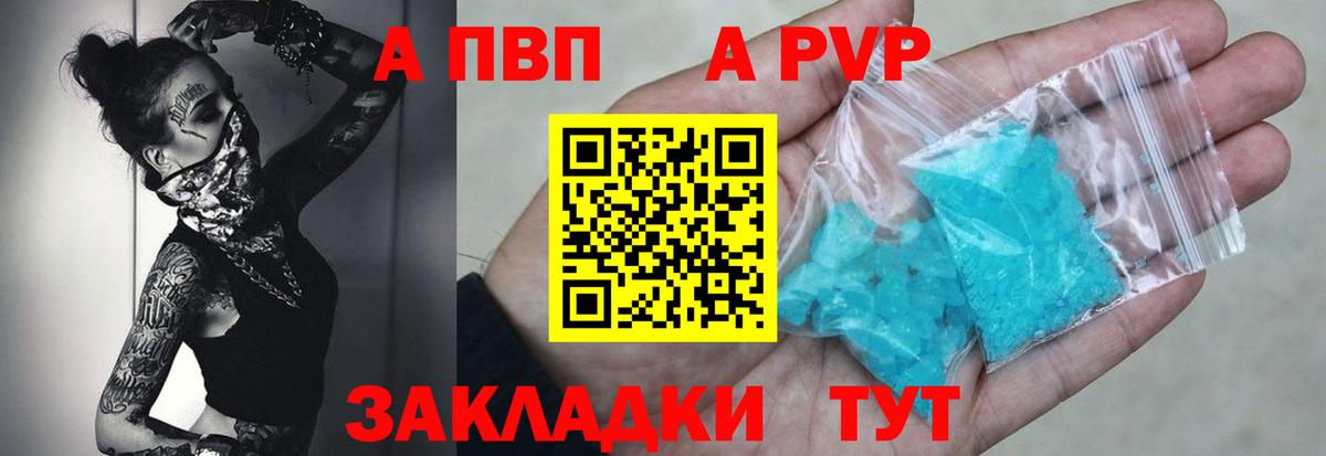 Alfa_PVP СК Елец