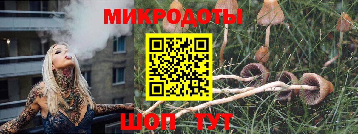 Елец  Псилоцибиновые грибы мицелий  Вход с VPN 
